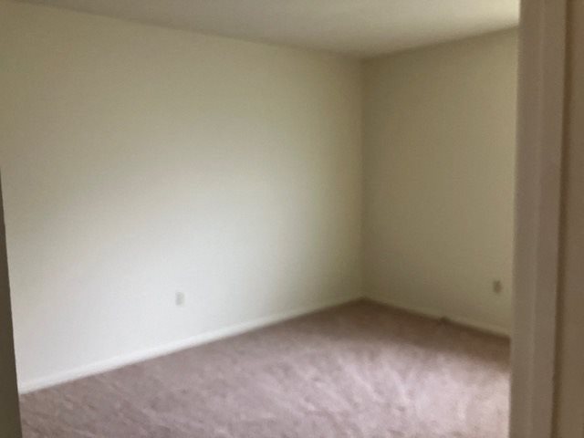 Gallery Photo 4